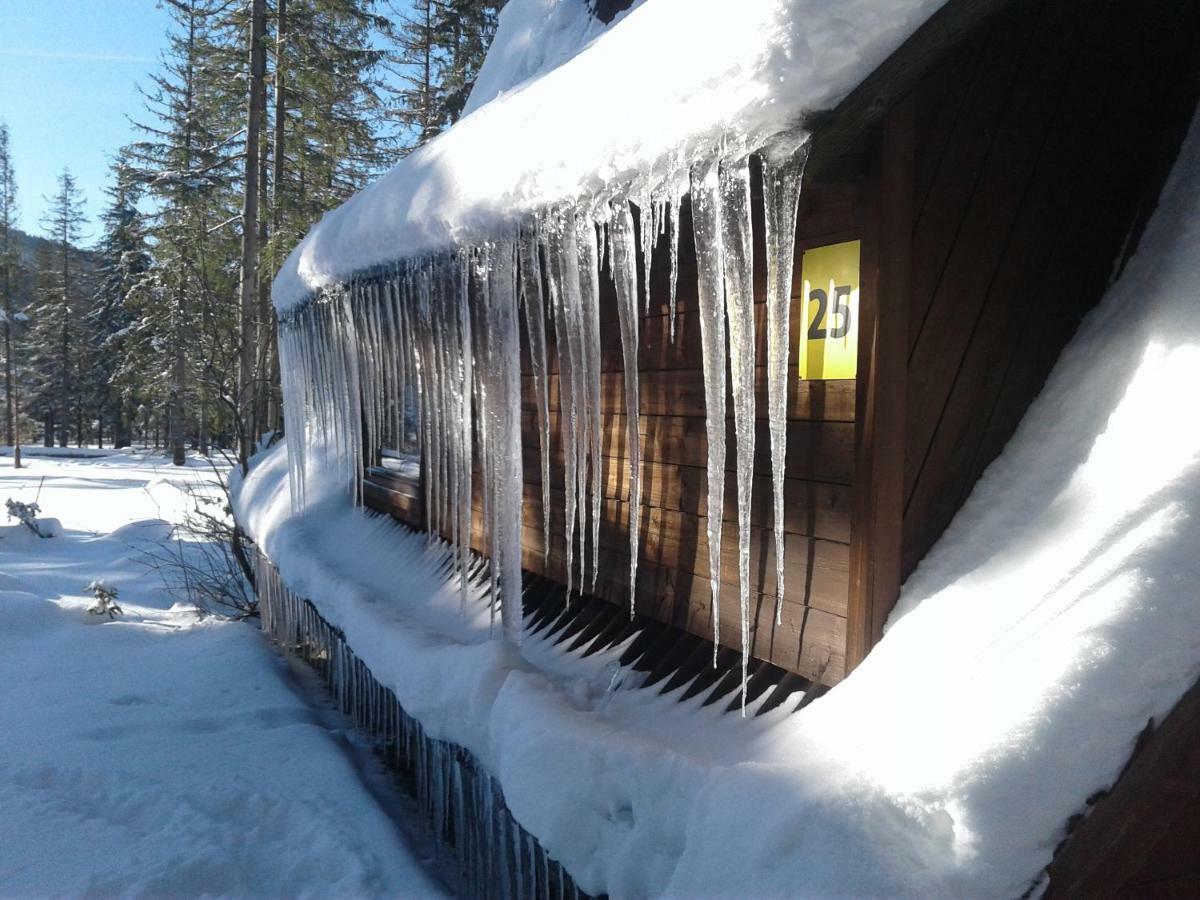 Camping Pod Krokwia Zakopane Exterior photo